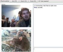 Screenshot di un incontro chatroulette — Chatroulette tedesca su Camyster